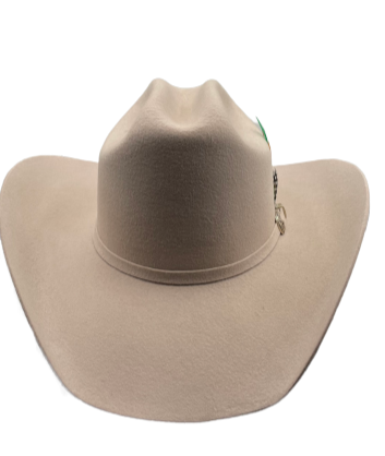 Texana American pro bull (Americana) hueso