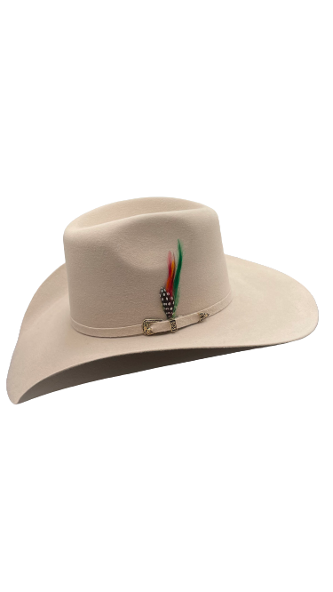 Texana American pro bull (Americana) hueso