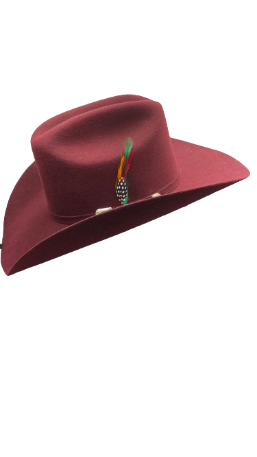 Texana American pro bull (Americana)vino