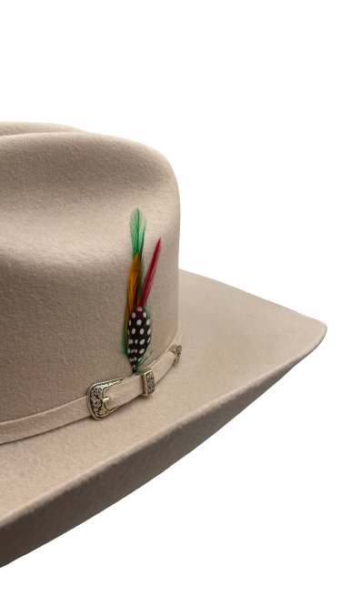 Texana American pro bull (Americana) hueso