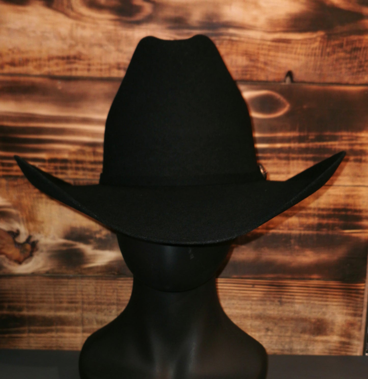 Texana American probul (texas)negro