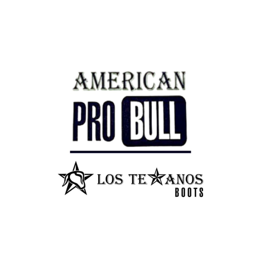 American Pro bull