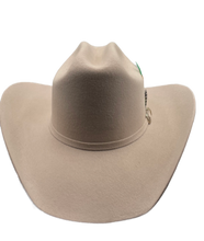 Cargar imagen en el visor de la galería, Texana American pro bull (Americana) hueso
