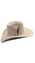 Cargar imagen en el visor de la galería, Texana American pro bull (Americana) hueso
