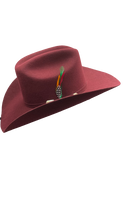 Cargar imagen en el visor de la galería, Texana American pro bull (Americana)vino
