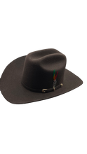 Cargar imagen en el visor de la galería, Texana fina American pro bull (Americana) café lana de conejo
