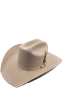 Cargar imagen en el visor de la galería, Texana American pro bull (Americana) hueso
