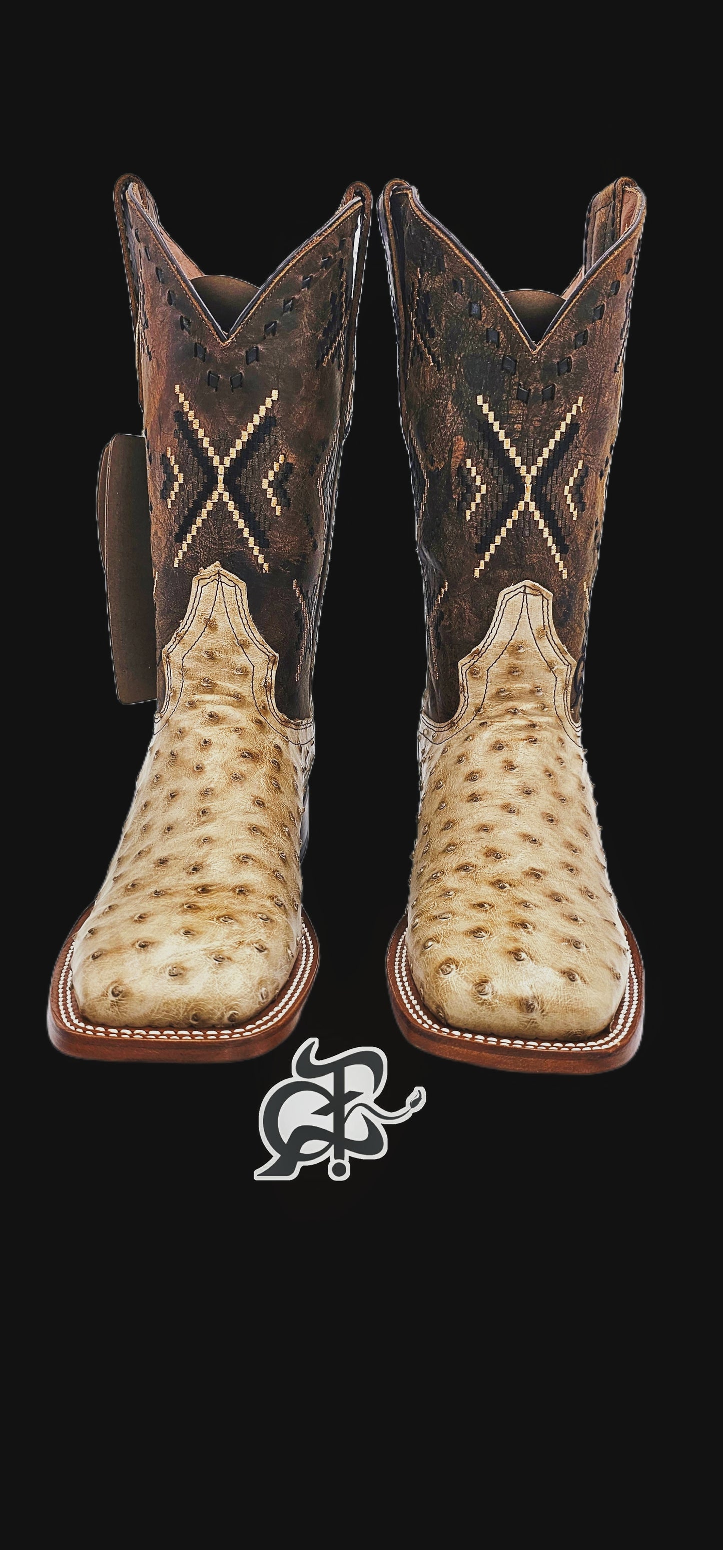 Bota vaquera de hombre piel aveztrus [pro916]
